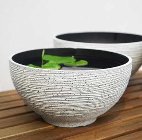 ^O vX`bN͑ΐ@ yʑϖՊ AEp (zCg,40cm)