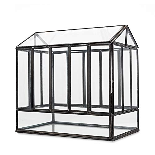 Urban Born Handmade Greenhouse Large Glass Terrarium — 10.25" X 9.75" X 6.5" (Black) #TOP4