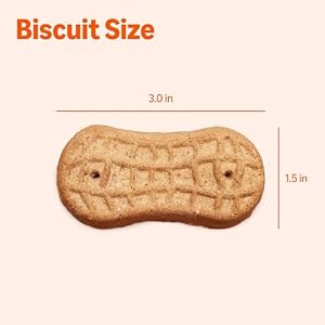 Amazon Basics Crunchy Dog Biscuits Peanut Butter Flavor Dog Treats 5 lb. Box — photo 5 of 6