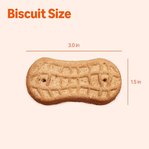 Amazon Basics Crunchy Dog Biscuits Peanut Butter Flavor Dog Treats 5 lb. Box - Image 6