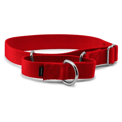 PetSafe Martingale Dog Collar Medium 1 Inch Red