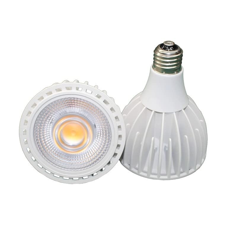 Oświetlenie wewnętrzne 2 sztuki/partia E27 LED COB PAR30 Lampy 15 W 20 W AC85-265V Oświetlenie komercyjne izolowane lampy zasilające