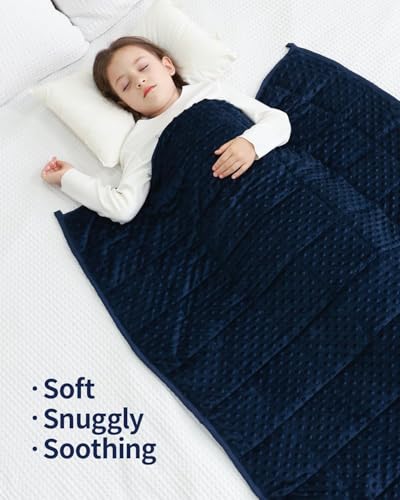 Image of Mr. Sandman Weighted Blanket 10LBS 41 x 60 Inches, Minky Dots Heavy Blanket with Glass Beads, Soft and Cooling for School and Home, Navy Blue