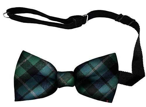 Noeud papillon Graham of Montrose pour mariages et soirées habillées en laine
