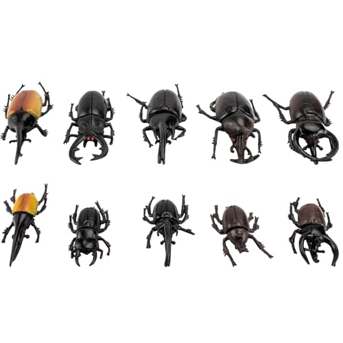 Bbiamsleep 10pcs Beetle Figurine Realistic Beetles Figure Models Garden Animal