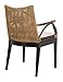 Safavieh Home Gianni Rattan Tropical Woven Arm Chair, Brown/Black