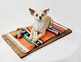 Photo Gallery conversation concepts statuetta chihuahua bianco marrone mydog Photo Gallery conversation concepts statuetta chihuahua bianco marrone mydog
