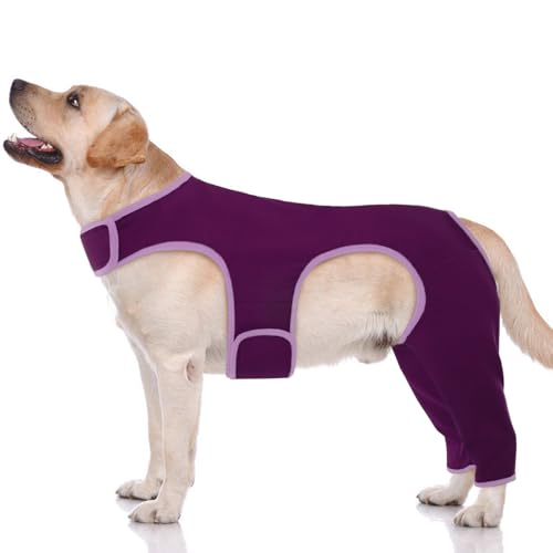 Hjyokuso Hundebody Nach Op mit Bein, Wundschutzanzüge für Hunde, Hinterbeinschutz, Anti-Wundlecken Body, E-Kragen Alternative, Hundeschenkel Schutz Bodysuit