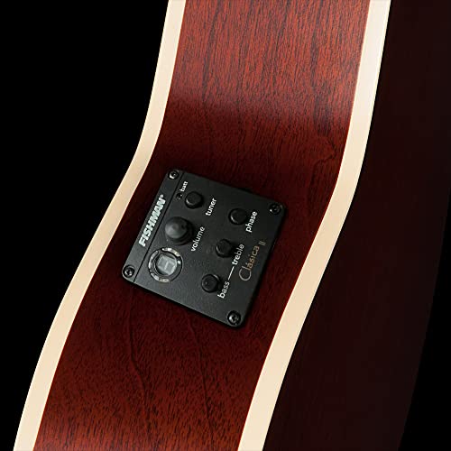 Godin 051793 6 String Acoustic Guitar thumb #6