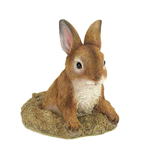 Zingz & Thingz Outdoor Garden Cottage Core Collection Miniature Sculpture, 5.5x5.5x6.25, Curious Bunny