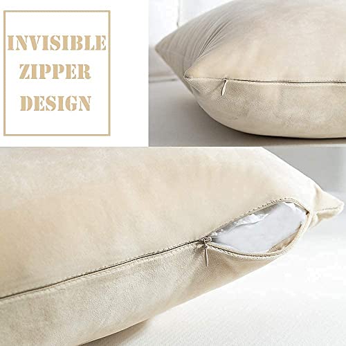 Image of Decorative Holland Velvet Cushion Square Pillow Covers Pillowcases for Sofa Bedroom with Invisible Zipper || (Cream, Set of 5 Piece (16X16 Inches)