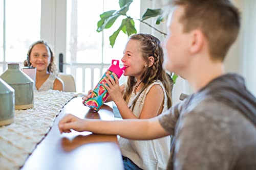 Simple Modern Kids Water Bottle With Straw Lid | Insulated Stainless Steel Reusable Tumbler For Toddlers, Girls | Summit Collection | 18Oz, Pink Ballerina #TOP6