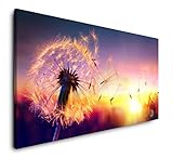 Die Ränder der Bilder werden standardmäßig in den Motivfarben bedruckt, so dass ein extra Bilderrahmen nicht erforderlich ist. Unsere Bilder werden mit pigmentbasierten Tinten gedruckt und bieten ein fantastisches Farbergebnis mit hohen Kontrasten. Überzeugen Sie sich selbst! Alle Bilder werden fertig aufgespannt auf Holzrahmen an die Kunden geliefert, so dass Sie keinen zusätzlichen Rahmen oder andere Spannvorrichtungen benötigen