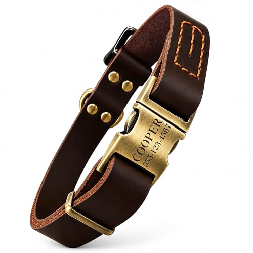 Personalized Leather Collar with Plate
