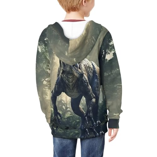 HUIACONG Dinosaur Zip Up Hoodie Boys 8-10 Hoodies Long Sleeve Shirt for Kids Sweatshirts Casual Hooded Pullover Outwear Pullover Novelty Sweatshirt2