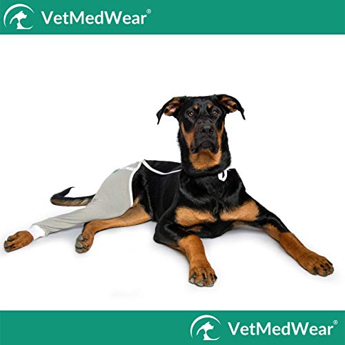 After Surgery Wear Hip And Thigh Wound Protective Sleeve For Dogs. Dog Recovery Sleeve. Recommended By Vets Worldwide (Large, Gray) #TOP5