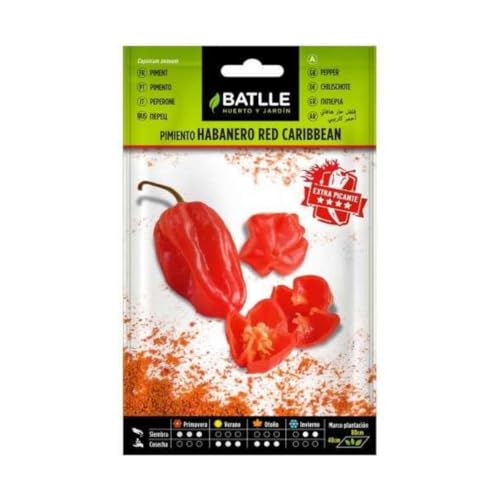 Semillas de Pimiento Habanero Red Caribean - Calidad y Versatilidad ?