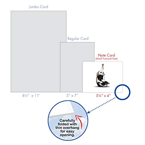 The Best Card Company - 10 Blank Yoga Note Cards (4X 5.12 Inch) - Boxed Notecards With Envelopes, Cute Animal Cards, Zen Assortment - Bovine Nirvana M6545Ocb #TOP6