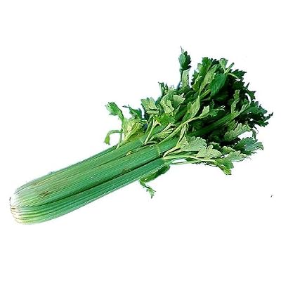 CELERY FRESH PRODUCE LARGE FRUIT VEGETABLES PER BUNDLE 1