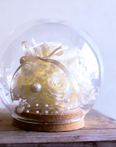 t[Xg vU[uht[ ͂Ȃ [YVV b܎܃fUCi[ďC t[Mtg o v[g Mtg aj LO v[g ̓ lC w   (AeBbNzCg, L)