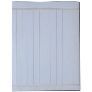 Tianjintang Chinese Kalligrafie Borstel Inkt Schrijven Sumi Papier/Xuan Papier/Rijstpapier voor Beginner 34cmx69cm Grid…