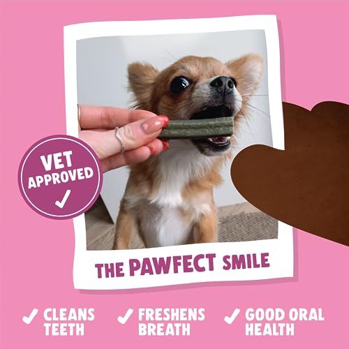 Denzel's Dog Dental Sticks - Dental Chews for Small Dogs & Puppy - Salmon & Spearmint (Pack of 28), Blue, 13 g (Pack of 28) - Image 2