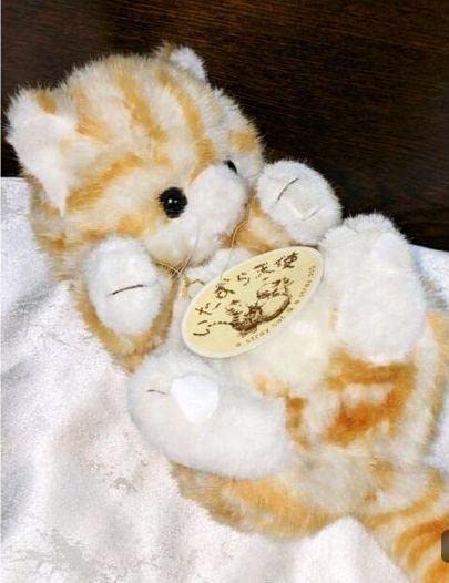 いたずら天使　猫ぬいぐるみ Amazon.co.jp: レトロ ファースト いたずら天使 猫 ねこ