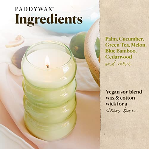 Paddywax Candles Realm Candle, 12 Ounces, Green, Bamboo #TOP1