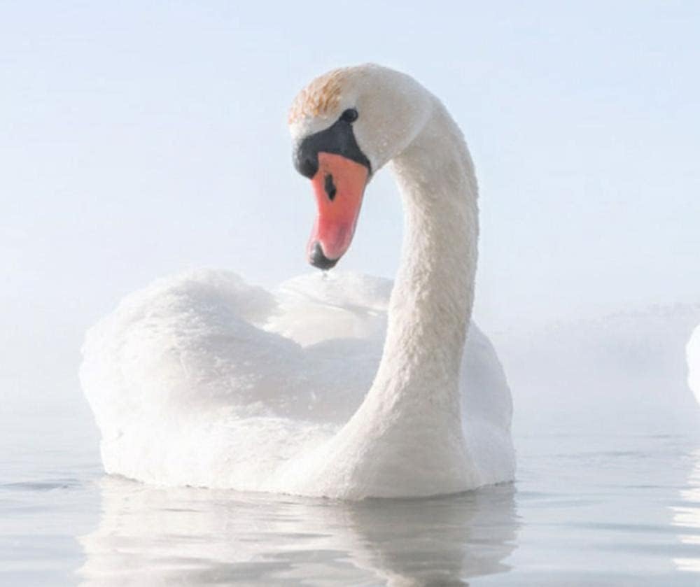 羽毛布団カバーセット,ダウンキルト、ホワイトグースダウン、春は暖かく保つために厚くした冬のキルト、冬は秋のキルト-200x230cm