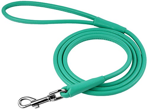 Collardirect Rolled Leather Dog Leash Rope Soft Padded Training Lead Heavy Duty Leashes For Dogs Small Medium Large Puppy Black Blue Red Orange Green Pink White (Medium, Pink) #TOP3