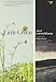 Little Green: A Novel