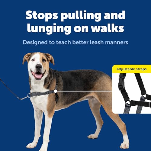 PetSafe Easy Walk No-Pull Dog Harness - The Ultimate Harness to Help Stop Pulling - Take Control & Teach Better Leash Manners - Helps Prevent Pets Pulling on Walks - Extra Large, Charcoal/Black by PetSafe - Image 3