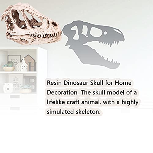 Crânio de dinossauro de resina para decoração de aquário de escritório em casa, decoração de esquele