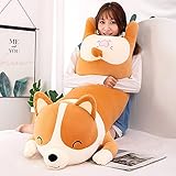 4. Guía del usuario: lavar a mano o a máquina en agua fría, ciclo lento a baja temperatura, secar al sol, no usar lejía. CONSEJO: Acaricie el peluche y déjelo al sol durante unos días para restaurar la pelusa óptima.
