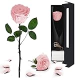 DASIAUTOEM Valentinstag Rose Geschenke für Frauen, Ewige Rose Valentinstag, Rose mit Geschenkbox, Eternal Rose, Geschenk für Freundin Muttertag Mutter Schwester Hochzeit Jahrestag Geburtstag (Rosa)