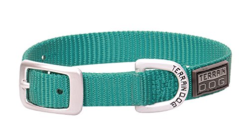 Terrain D.O.G. Nylon Single-Ply Dog Collar