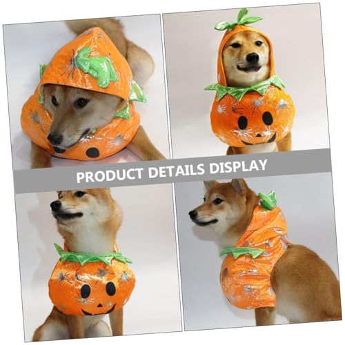 Disfraz para perro y gato calabaza Halloween tamaño pequeño miniatura 3