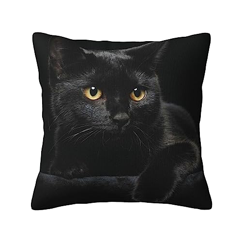 L L Jo[ NbVJo[ ߂閍Jo[  \t@[NbV zcJo[ s[P[X ܂Jo[ ق _ lC CeA  ƒp 킢 45x45cm