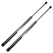 ECCPP 2pcs Rear Liftgate Lift Supports Struts Rods Shocks for 2003-2009 Kia Sorento