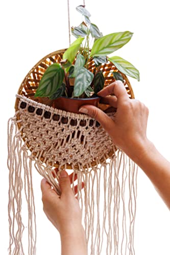 PLANTORI Set of 2 Hanging Planters for Living Room | Indoor Plant Pots and Planters for Home | Beautiful Flower Pots | Hanging Basket Diameter - 9 inches