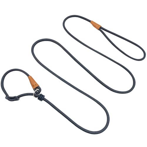 Boswany 6ft Small Slip Lead Dog Training Leash, 1/4-In Lightweight Rope Slip Leash, No-Pull Cute Leashes for Medium Small Dogs Puppy Pets (Black, 1/4' x 6ft)