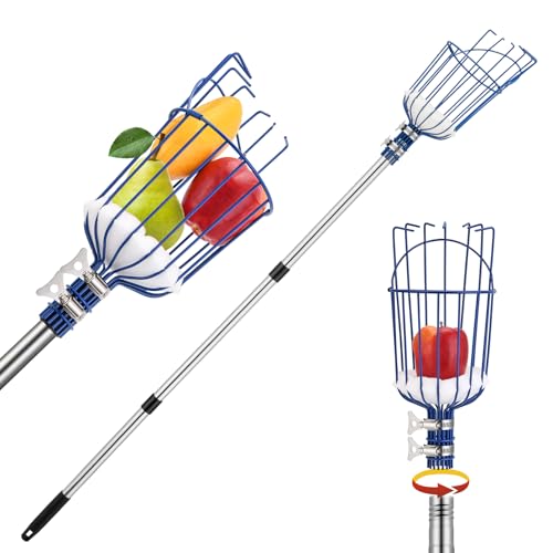 Oak Leaf Fruit Picker 13 FT Picker Pole with Basket Length Adjustable Apple Orange Picker Tool Tree Fruit Catcher with Lightweight Stainless Steel Connecting Pole Foam Pad 2 Metal Clamp(Upgraded)