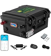 Amazon.co.jp: GreenCowpow 12V 60Ah リン酸鉄リチウムバッテリー 