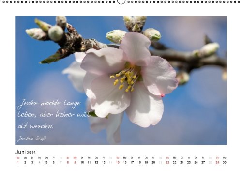 Weisheiten über das Leben (Wandkalender 2014 DIN A2 quer): Weisheiten über das Leben und Fotografie vereint (Monatskalender, 14 Seiten)