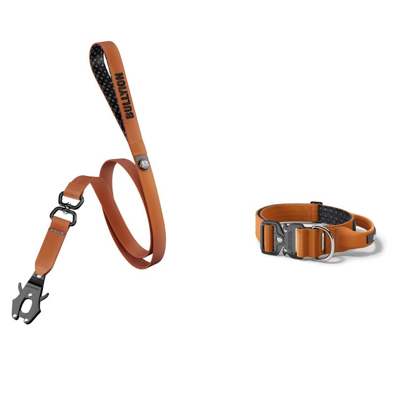 Bullyion ® Original Equipment All Action Swivel Lead 1.4 m & Heavy Duty Tactical Dog Collar with Handle - Softcell Padding – Lockforce Buckles (ORANGE MARMALADE - WIDTH 5 cm - SIZE SMALL)