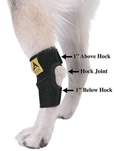 Agon® Dog Canine Rear Hock Joint Brace Compression Wrap With Straps Dog For Back Leg Protects Wounds. Heals Prevents Injuries And Sprains Helps With Loss Of Stability Caused By Arthritis (Medium) #TOP2
