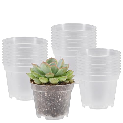 Arcadia 2-Inch Clear Nursery Pot