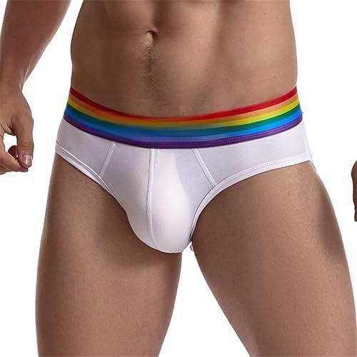 Men's Underwear Briefs Men's Cotton Low Rise Briefs Soft Breathable Sexy Underwear4