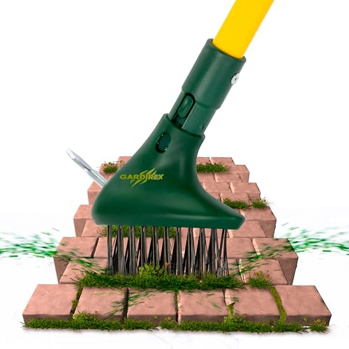 Spazzola togli erbacce - Attrezzo da giardino per rimuovere erba da fughe e pavimentazioni esterne - Estirpatore erbacce con manico estensibile