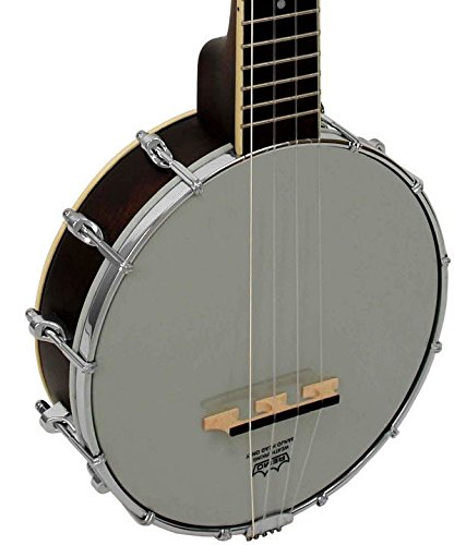 Gold-Tone-Baritone-Banjo-Ukulele-wHard-Case